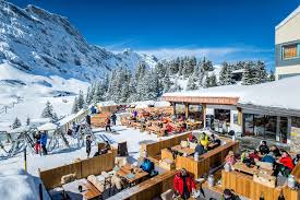 Luxurious Ski Vacation